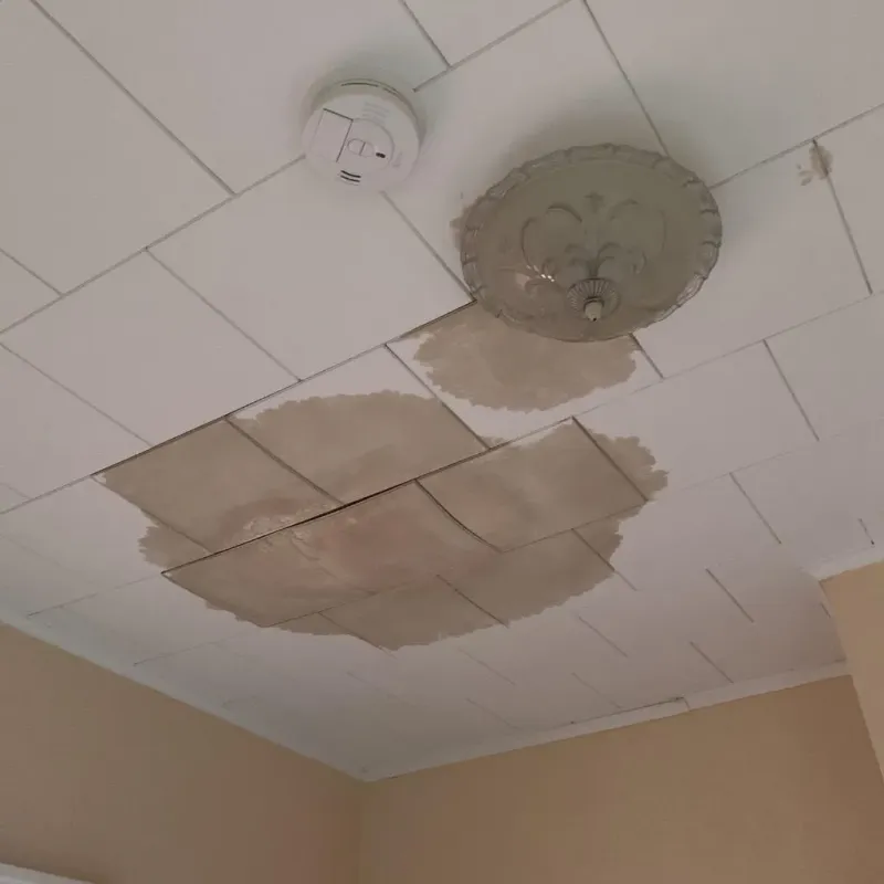 Ceiling Water Damage Repair in Mound, MN